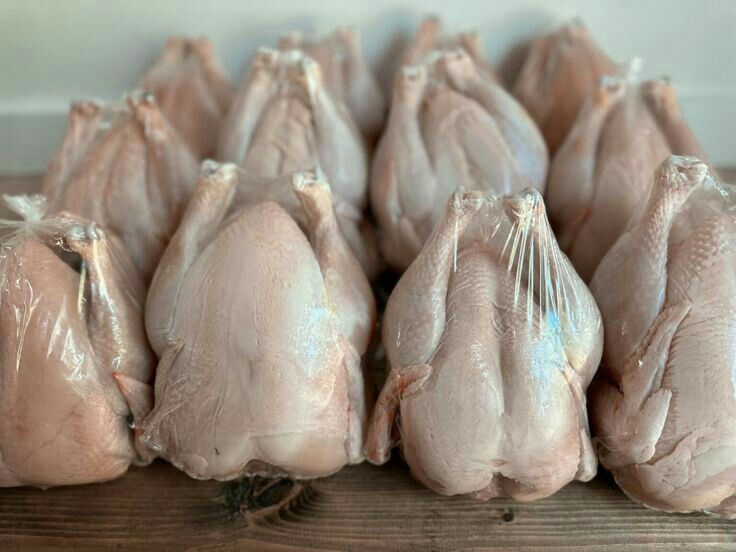 Featured Chicken