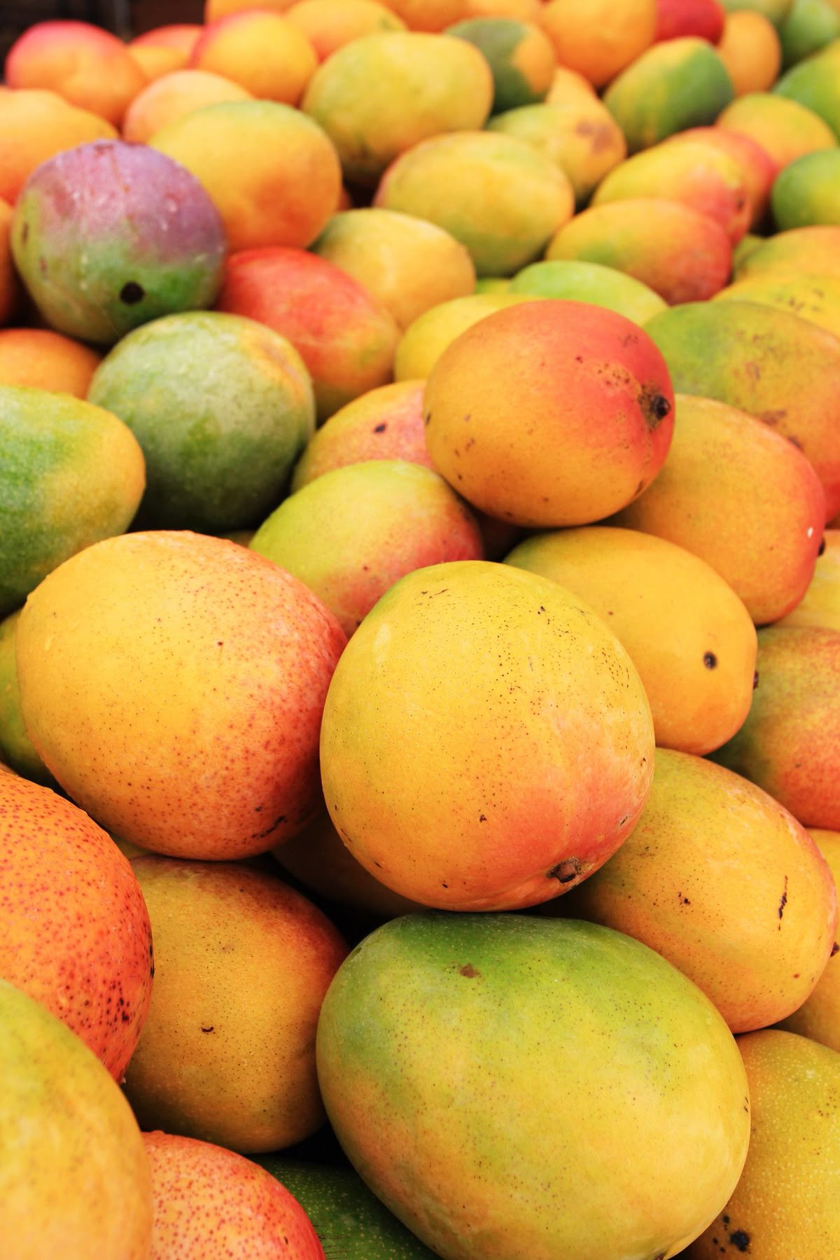 Farm Fresh Mangoes